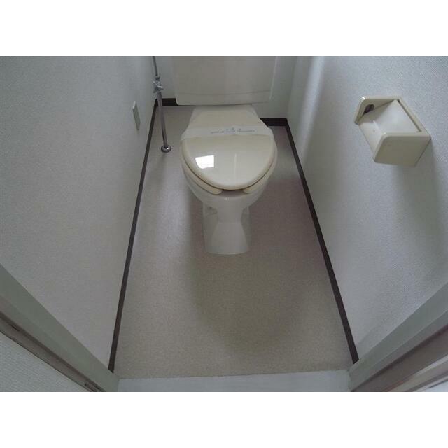 前回募集時の写真です。