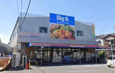 ビッグ・エー江戸川本一色店