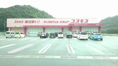 コスモス