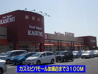 カスミビバモール加須店