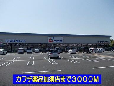 カワチ薬品加須店