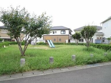 コスモスタウン開発公園
