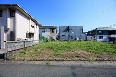 2号地　2026年6月10日撮影