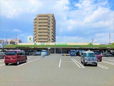 ハローズ新涯店