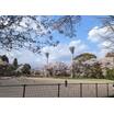 公園