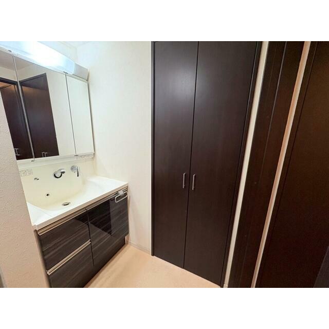 三面鏡のシャワー付き洗面化粧台！