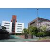 大学