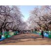公園