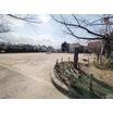 公園