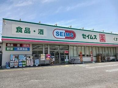 ドラッグセイムス嵐山店