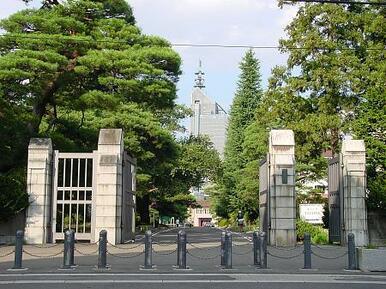 国立東北大学