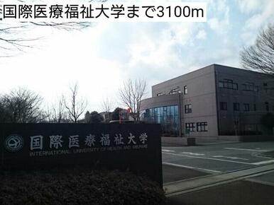 国際医療福祉大学