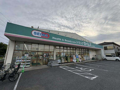 ドラッグセイムス入谷舎人店