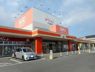ザ・ビッグ神辺店
