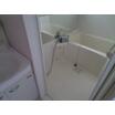 バス/シャワー