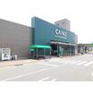 販売店
