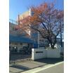 小学校