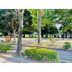 公園