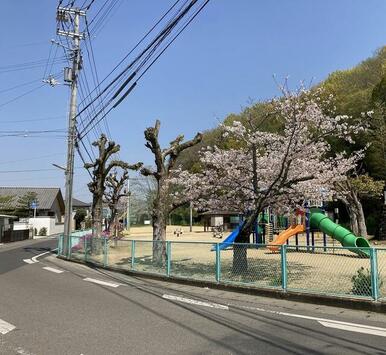 星ヶ丘公園