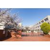 小学校