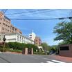 大学