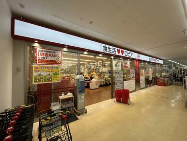 ロピア相模原島忠ホームズ店