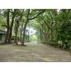 公園
