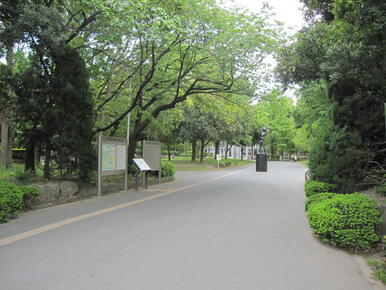 北浦和公園（県立近代美術館あり）