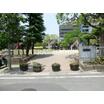公園