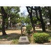 公園