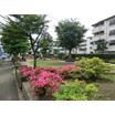 公園
