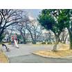 公園