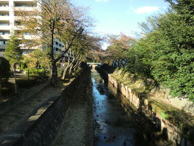 鴻沼川（鴻沼排水路）