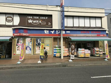 ワッツウィズ大和田セイジョー店