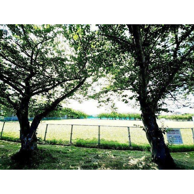 厚原スポーツ公園まで140m