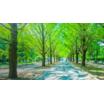 公園