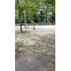 公園