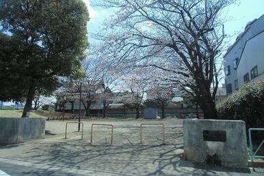 中川防災公園