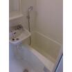 バス/シャワー