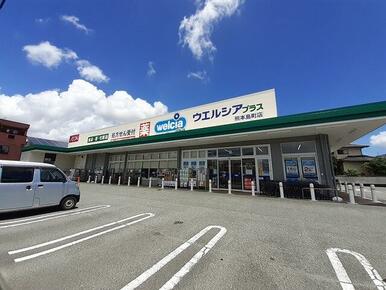 ウエルシアプラス島町店