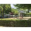 公園