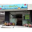 幼稚園、保育園