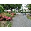 公園