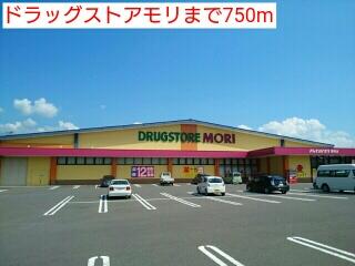 ドラッグストアモリ