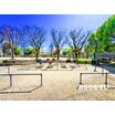 公園