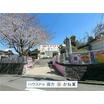 幼稚園、保育園