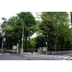 公園