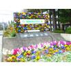 公園