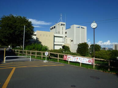 横須賀市自然・人文博物館