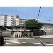 幼稚園、保育園